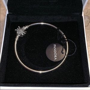 Pandora bracelet small